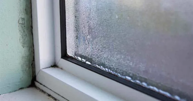 Windows Condensation
