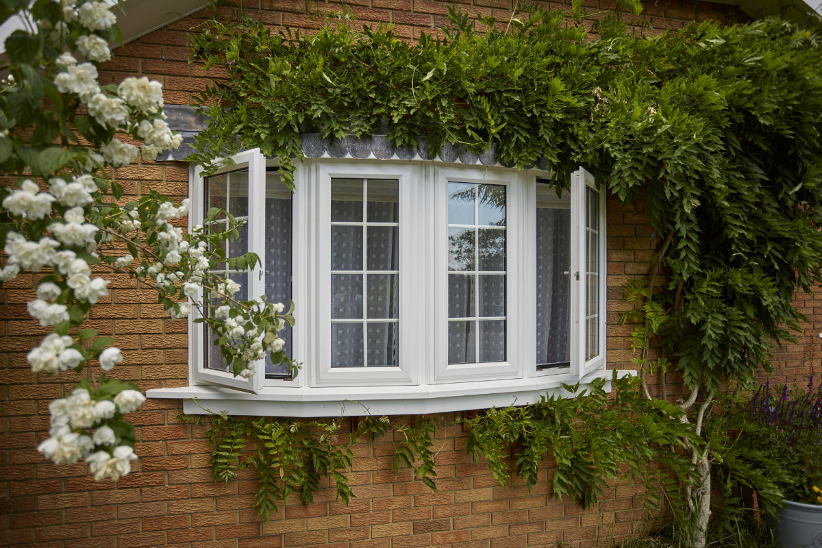White Bay Window In Open Position With Greenery