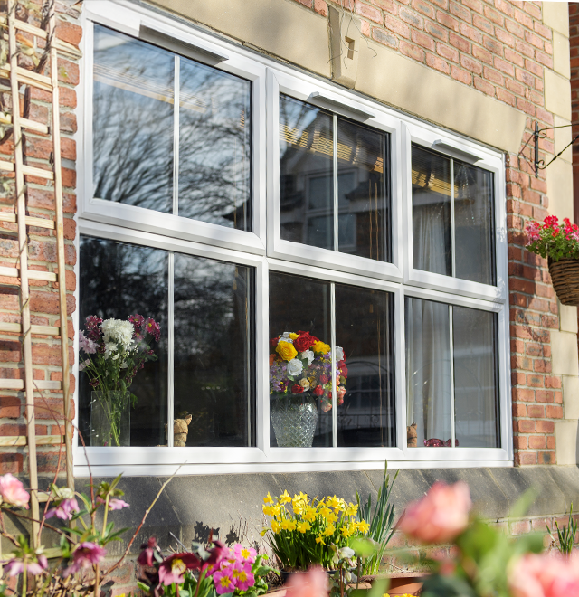 Windows Summer 26