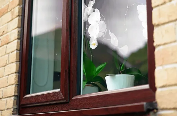 Wood Coloured Windows Gallery 3